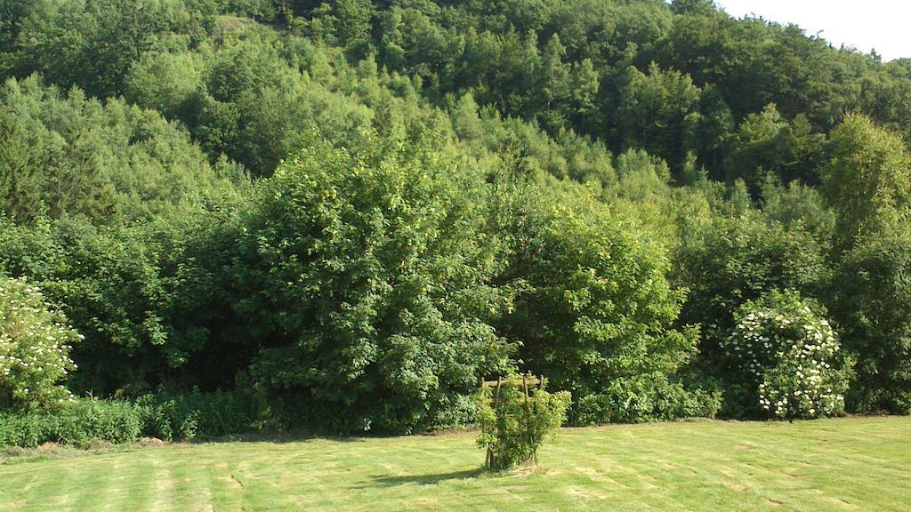 Bertogne La Cle Des Champs 빌라 외부 사진